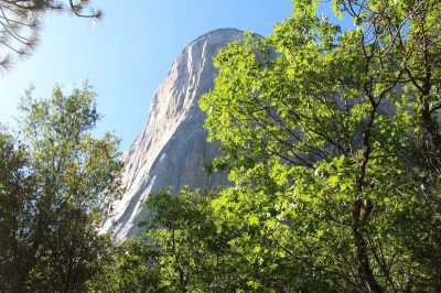 États-Unis — étape 2 : Yosemite National Park