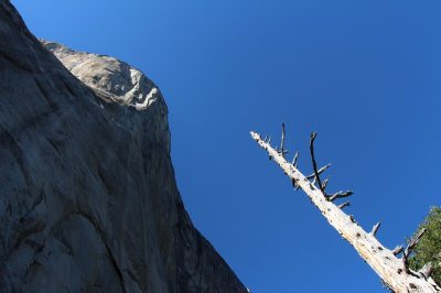 États-Unis — étape 2 : Yosemite National Park
