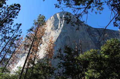 États-Unis — étape 2 : Yosemite National Park