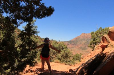 États-Unis — étape 8 : Parc national de Zion