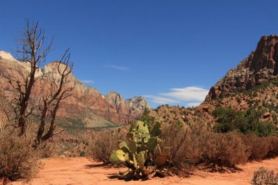 États-Unis — étape 8 : Parc national de Zion