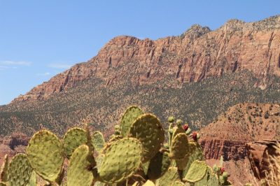 États-Unis — étape 8 : Parc national de Zion