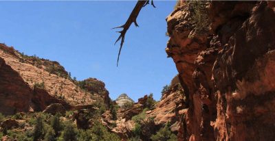 États-Unis — étape 8 : Parc national de Zion