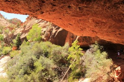 États-Unis — étape 8 : Parc national de Zion