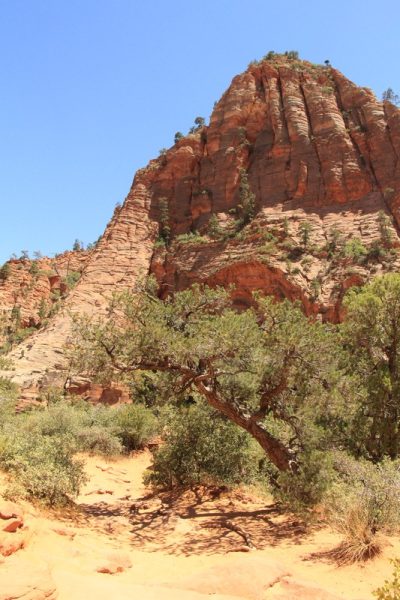 États-Unis — étape 8 : Parc national de Zion