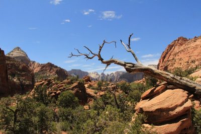 États-Unis — étape 8 : Parc national de Zion