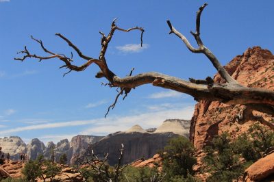 États-Unis — étape 8 : Parc national de Zion
