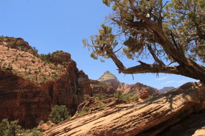 États-Unis — étape 8 : Parc national de Zion