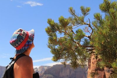 États-Unis — étape 8 : Parc national de Zion