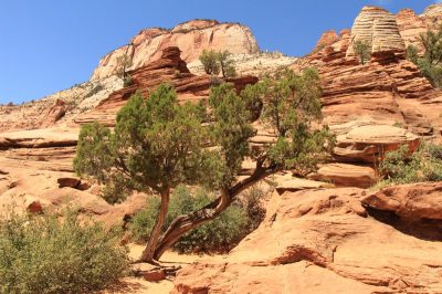 États-Unis — étape 8 : Parc national de Zion