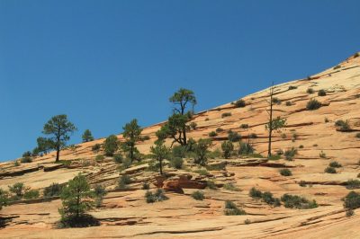 États-Unis — étape 8 : Parc national de Zion