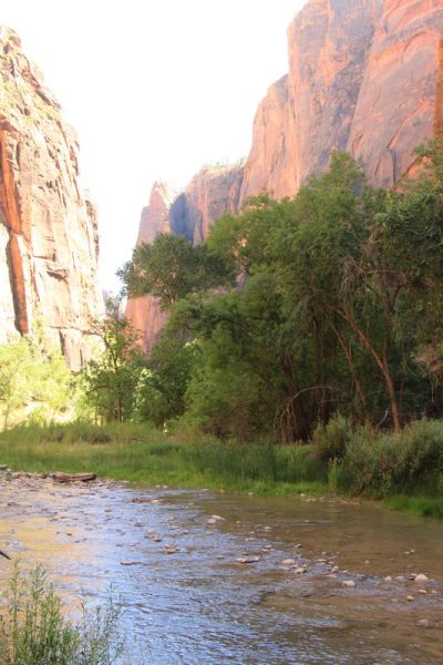États-Unis — étape 8 : Parc national de Zion