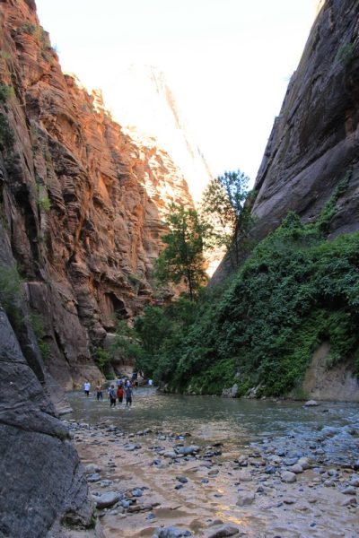 États-Unis — étape 8 : Parc national de Zion