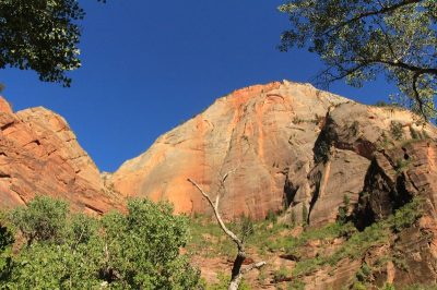 États-Unis — étape 8 : Parc national de Zion
