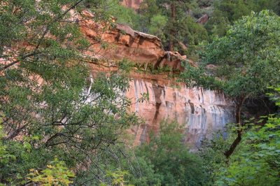 États-Unis — étape 8 : Parc national de Zion