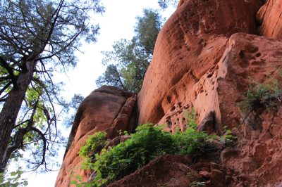 États-Unis — étape 8 : Parc national de Zion