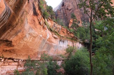 États-Unis — étape 8 : Parc national de Zion