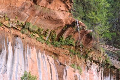 États-Unis — étape 8 : Parc national de Zion