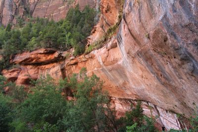 États-Unis — étape 8 : Parc national de Zion