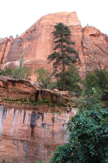États-Unis — étape 8 : Parc national de Zion