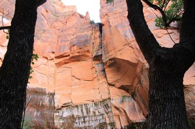 États-Unis — étape 8 : Parc national de Zion