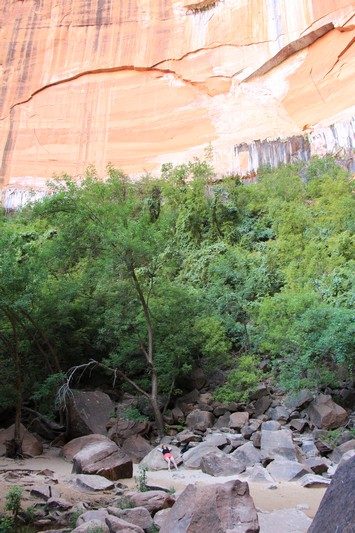 États-Unis — étape 8 : Parc national de Zion
