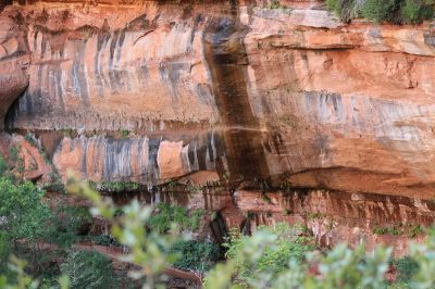 États-Unis — étape 8 : Parc national de Zion