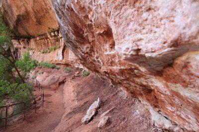 États-Unis — étape 8 : Parc national de Zion