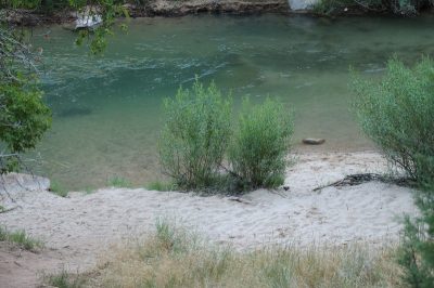 États-Unis — étape 8 : Parc national de Zion