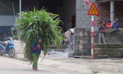 Vietnam du Nord au Sud — étape 3 : Ha Giang