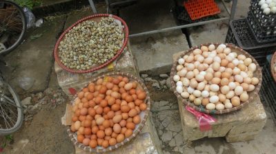 Vietnam du Nord au Sud — étape 3 : Ha Giang