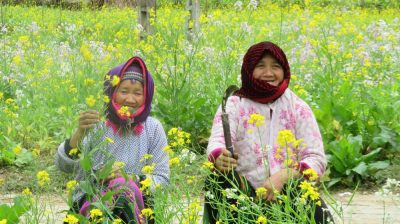 Vietnam du Nord au Sud — étape 3 : Ha Giang