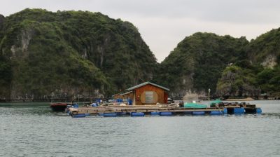 Vietnam du Nord au Sud — étape 4 : Halong Bay