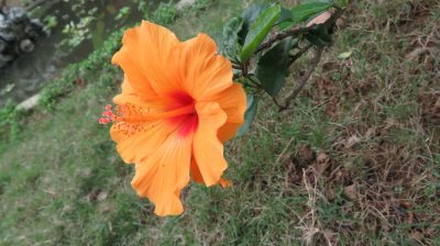 Vietnam du Nord au Sud — étape 5 : Ninh Binh