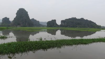 Vietnam du Nord au Sud — étape 5 : Ninh Binh