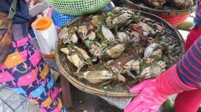 Vietnam du Nord au Sud — étape 7 : Hoi An