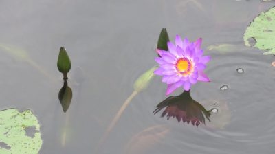 Vietnam du Nord au Sud — étape 7 : Hoi An