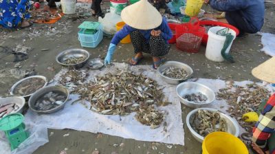 Vietnam du Nord au Sud — étape 9 : Phan Thiet - Mui Né