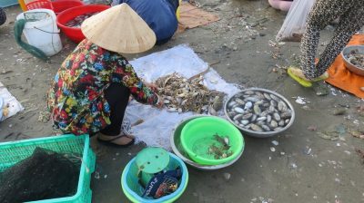 Vietnam du Nord au Sud — étape 9 : Phan Thiet - Mui Né