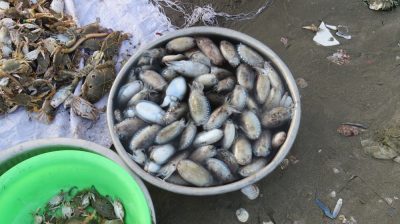 Vietnam du Nord au Sud — étape 9 : Phan Thiet - Mui Né