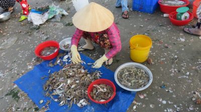 Vietnam du Nord au Sud — étape 9 : Phan Thiet - Mui Né