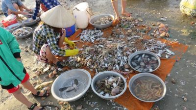Vietnam du Nord au Sud — étape 9 : Phan Thiet - Mui Né