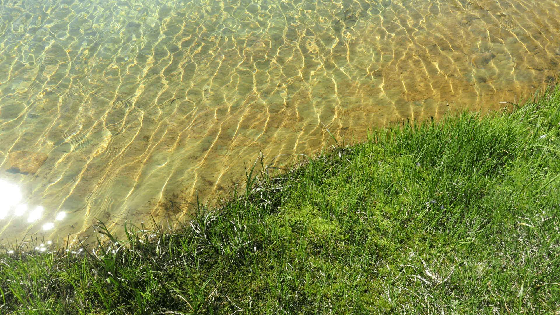 Randonnée en montagne
