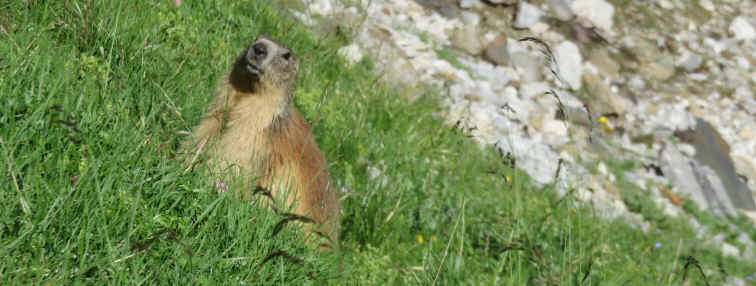 Traversée des Pyrénées