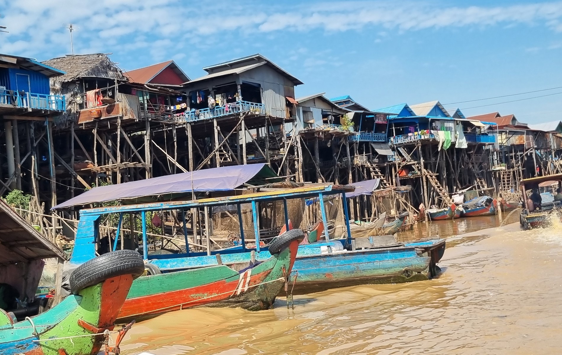 Siam Reap - Phluk