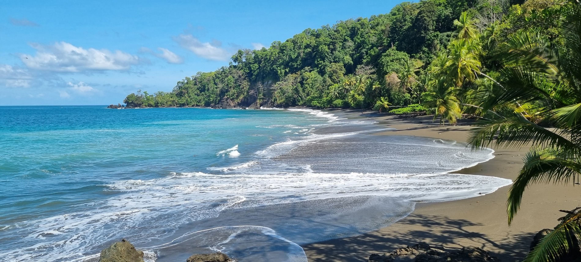 Corcovado (Drake Bay)