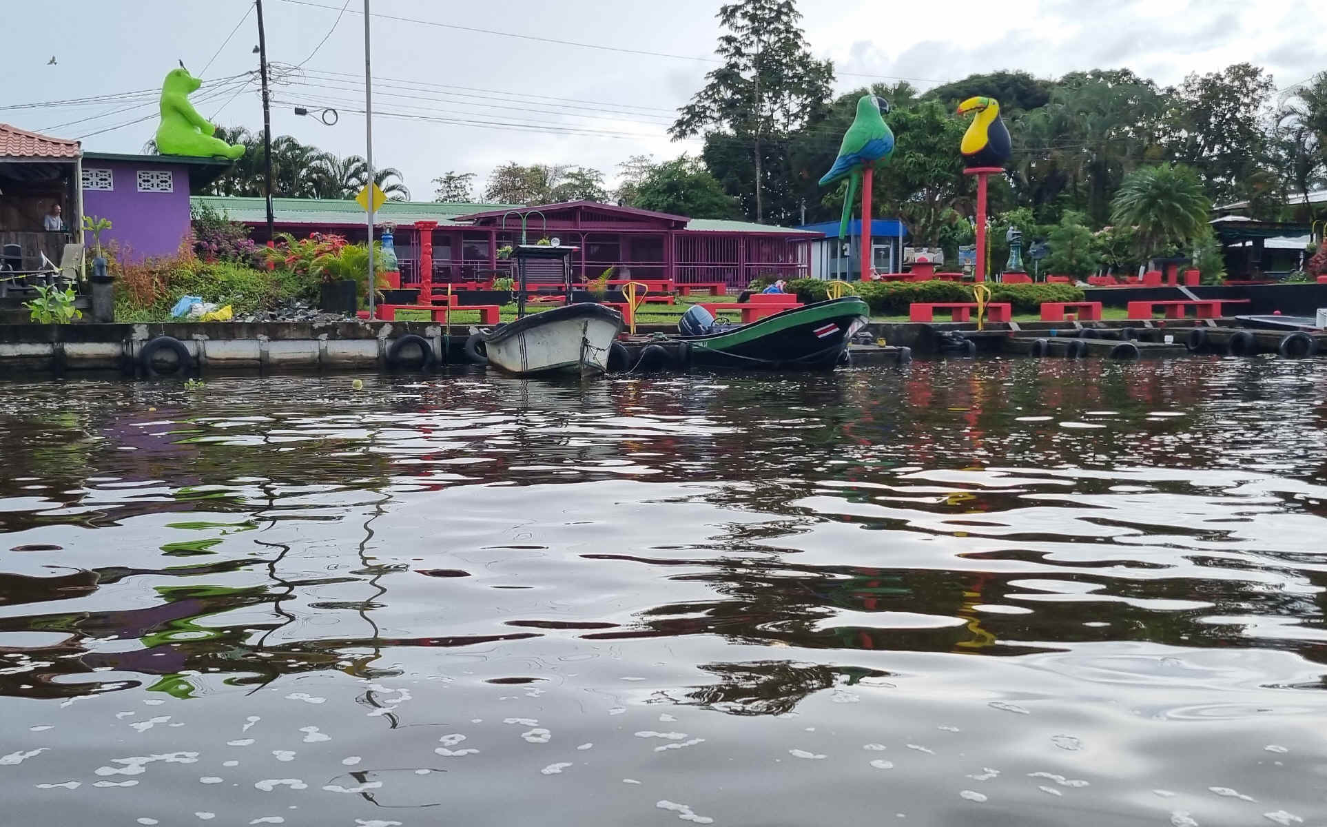 Tortuguero > La Fortuna