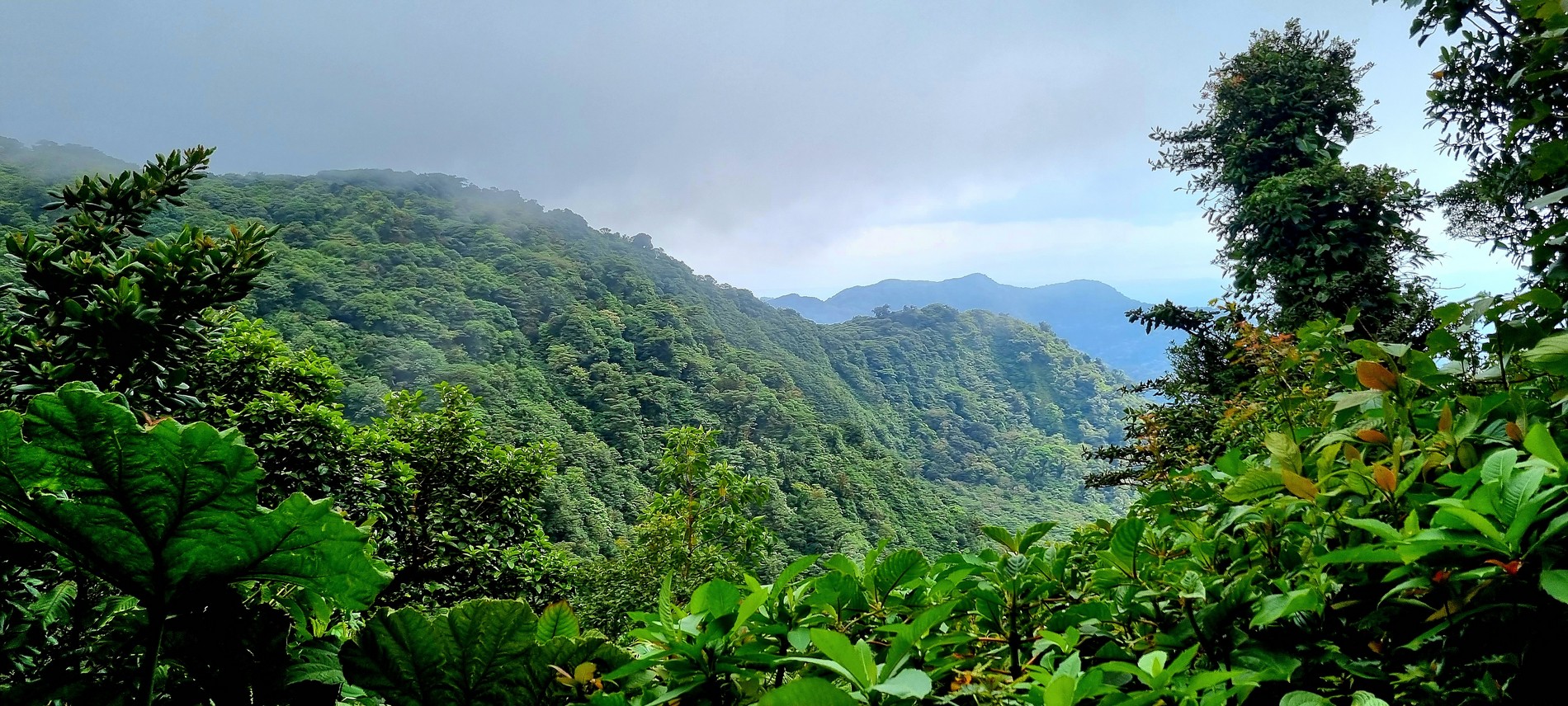 La Fortuna > Monteverde