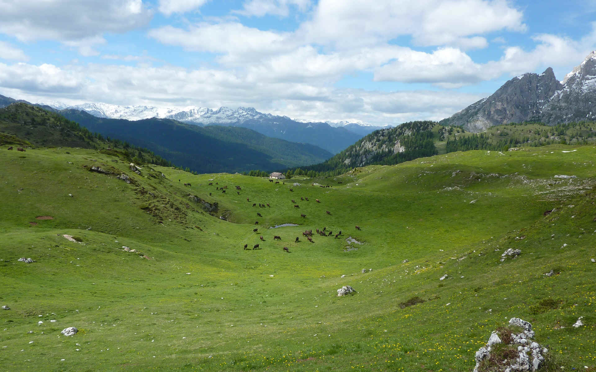 Les Dolomites de Brenta — étape 3 : en route vers le refuge Graffer