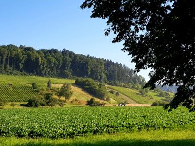 Hommage aux Origines — étape 9 : Ühlingen > Oberembrach